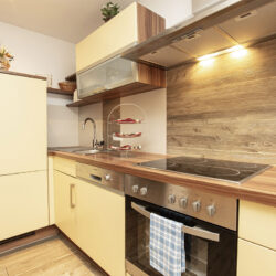 Ferienhaus Nagelschmied - Ferienwohnung - Radstadt