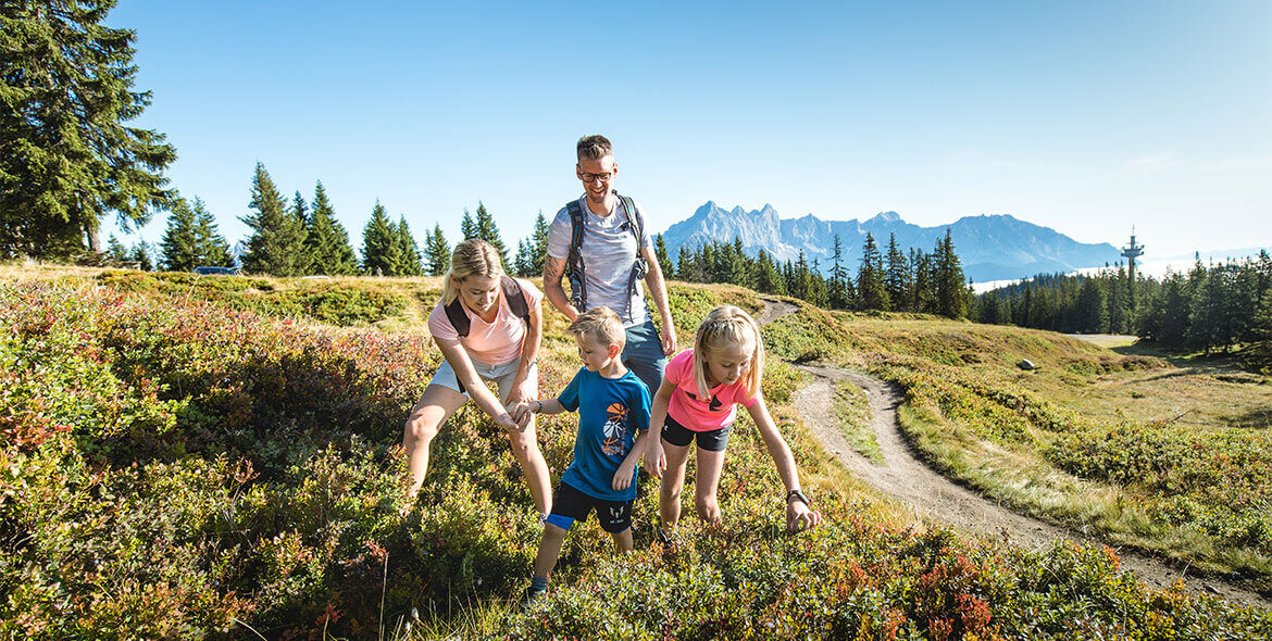 Wandern - Urlaub in Radstadt